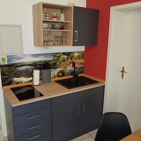 Zimmerappartement "Rose" - Ferienwohnungen Wagner & Gaul Daleiden Екстериор снимка